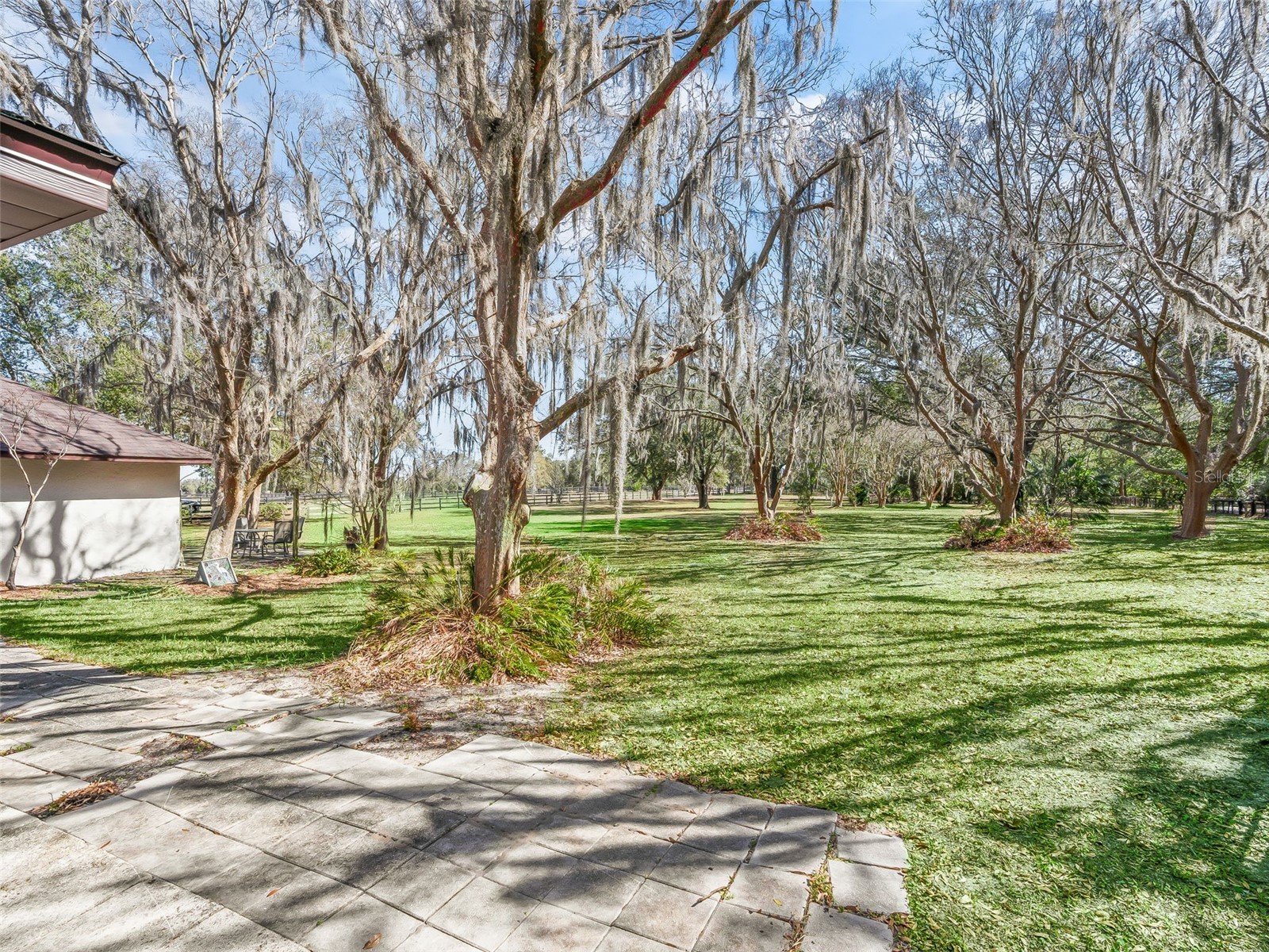 7368 NW 14th Street Ocala FL 34482 OM719749 image28