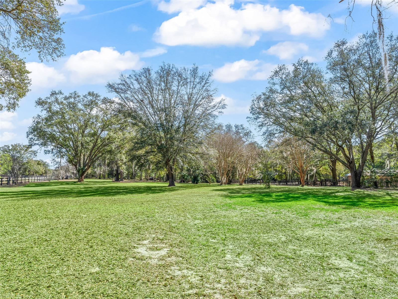 7368 NW 14th Street Ocala FL 34482 OM719749 image30