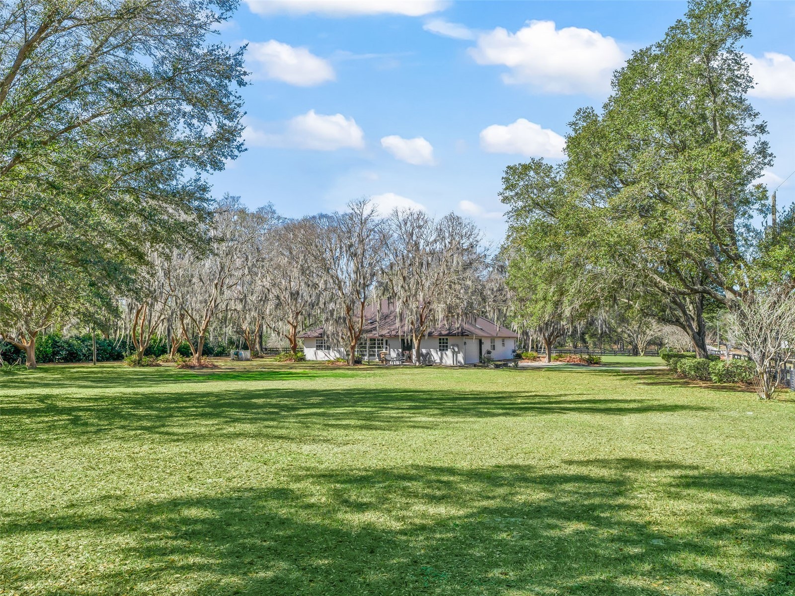 7368 NW 14th Street Ocala FL 34482 OM719749 image32