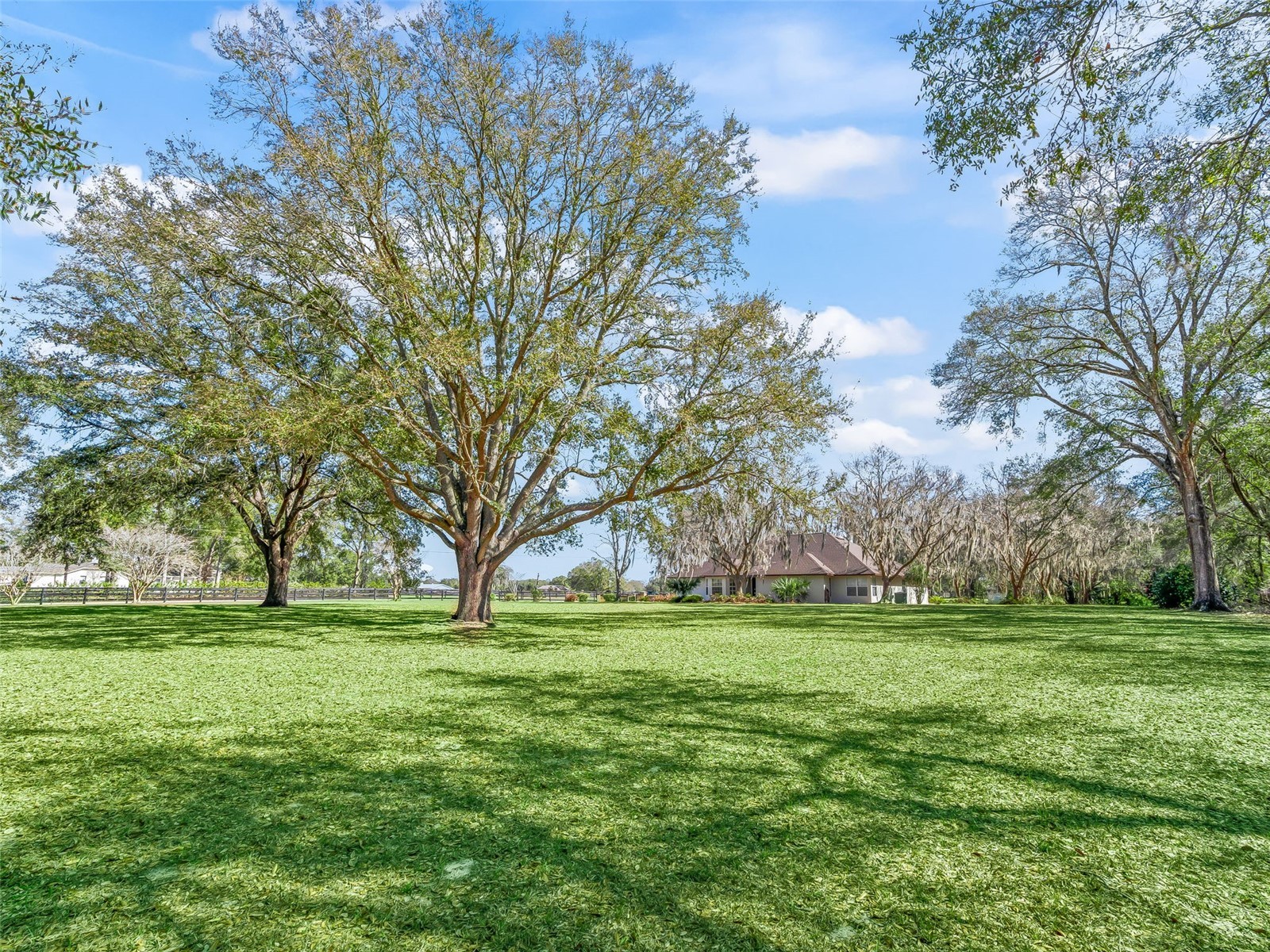 7368 NW 14th Street Ocala FL 34482 OM719749 image39