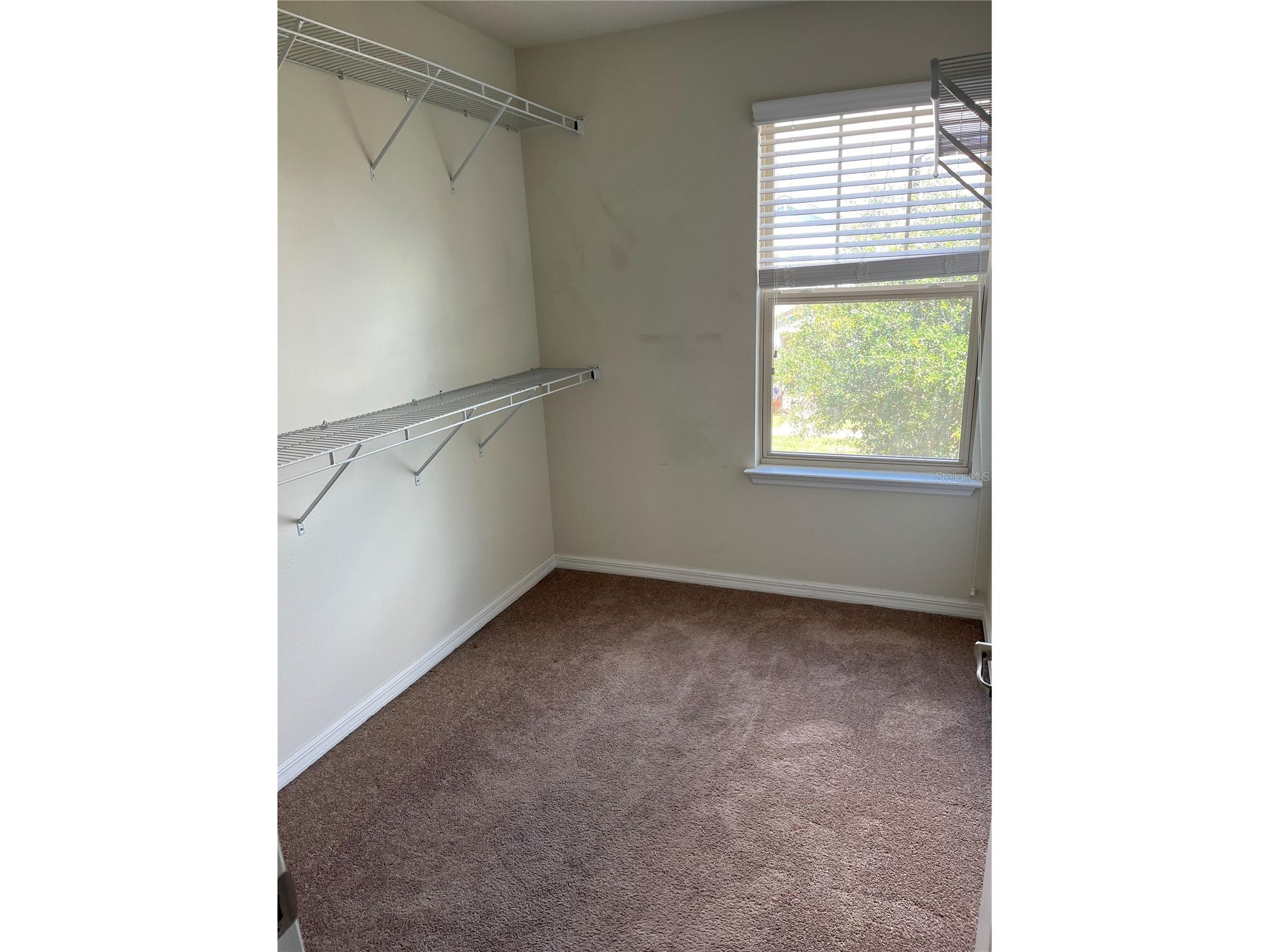 7369 Duxbury Lane Winter Garden FL 34787 O6380720 image19