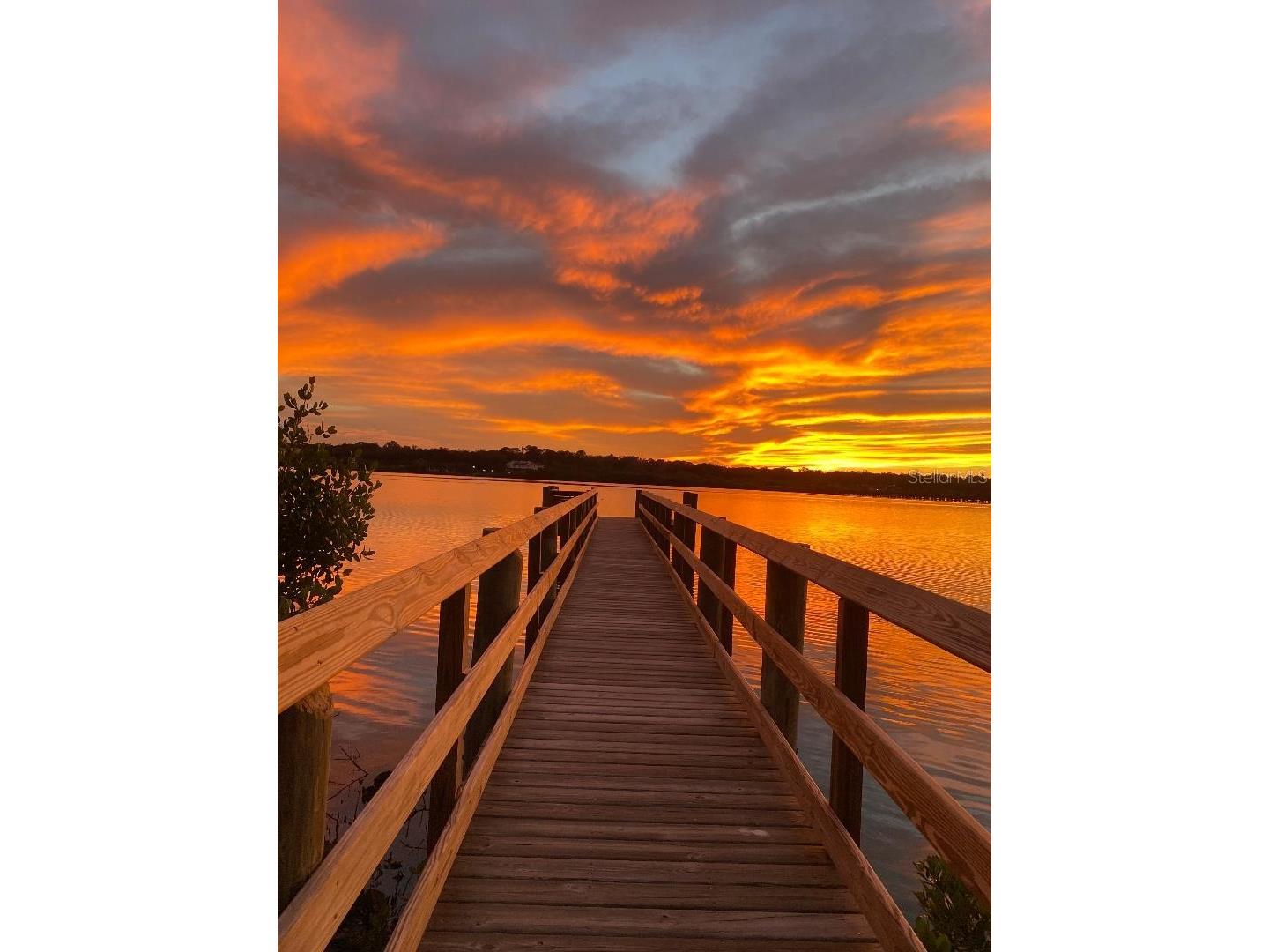 7369 Duxbury Lane Winter Garden FL 34787 O6380720 image4