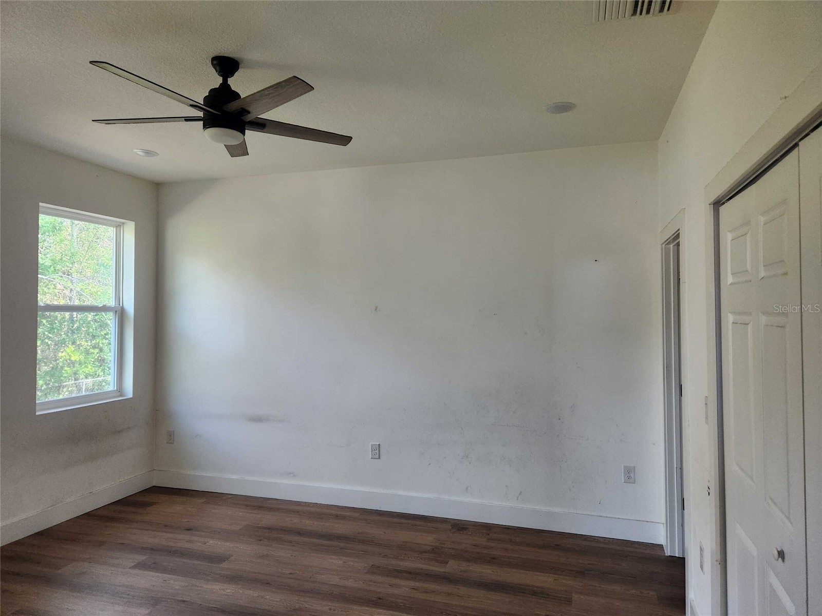 7369 Sealawn Drive Spring Hill FL 34606 TB8518944 image5