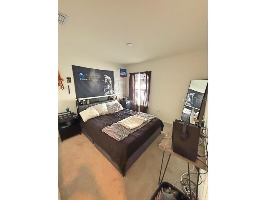 737 Daphne Drive Polk City FL 33868 P4938290 image11