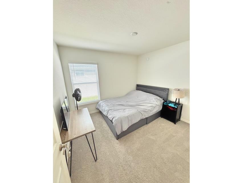 737 Daphne Drive Polk City FL 33868 P4938290 image12