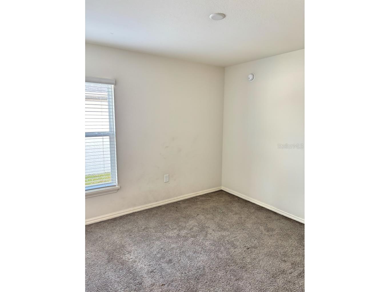 737 Daphne Drive Polk City FL 33868 P4938290 image14