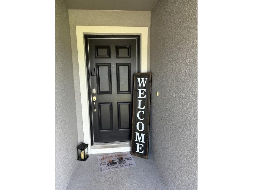 737 Daphne Drive Polk City FL 33868 P4938290 image3