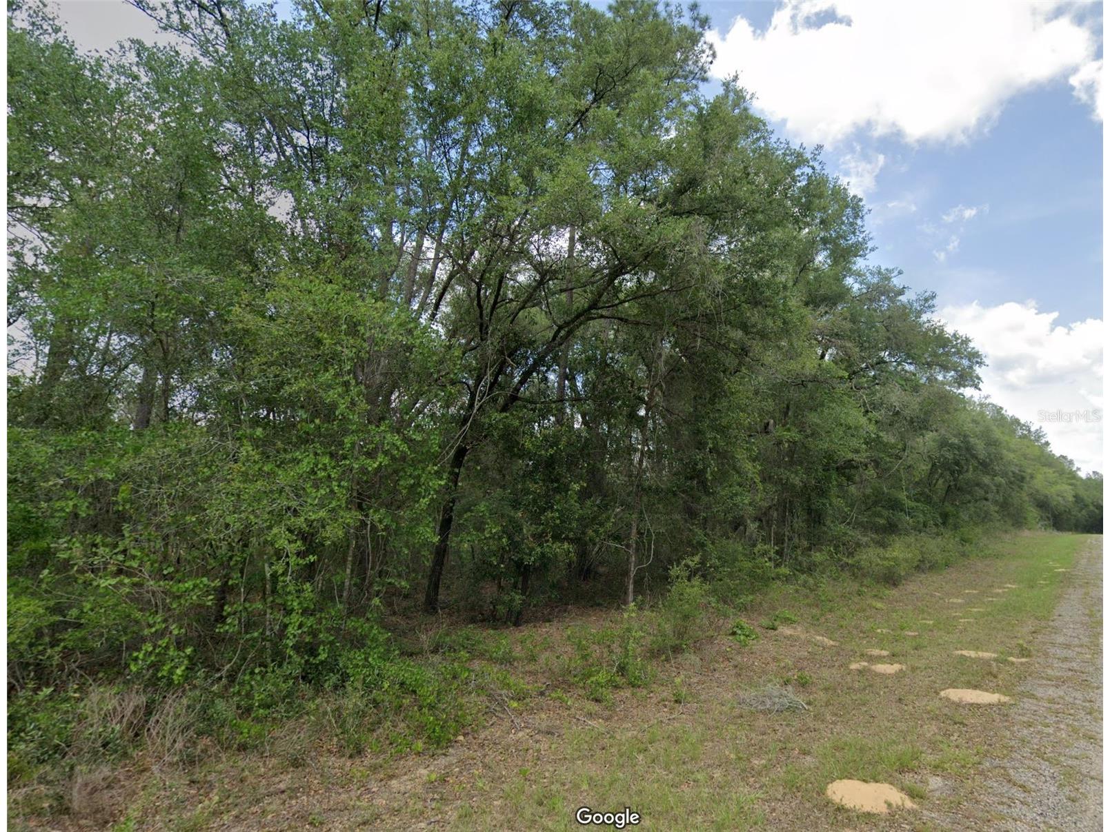 737 E Byrd Loop Dunnellon FL 34434 OM725339 image1