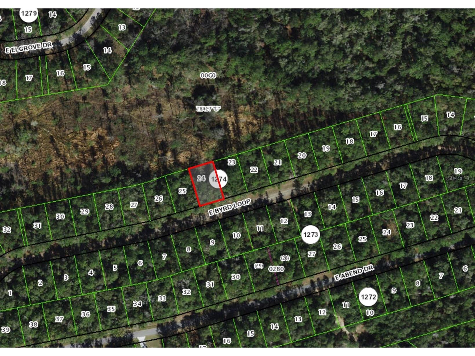 737 E Byrd Loop Dunnellon FL 34434 OM725339 image2