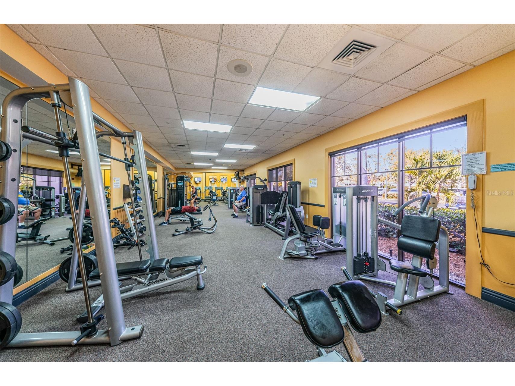 737 Mccallister Avenue #265 Sun City Center FL 33573 A4685459 image48