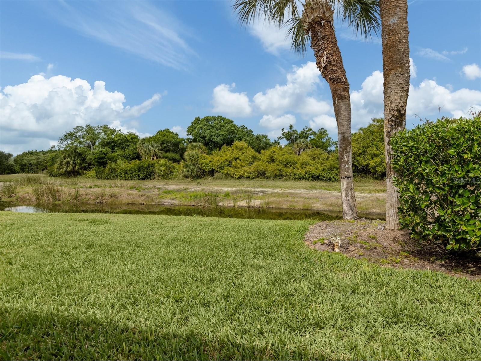 737 Pond Lily Way Venice FL 34293 N6143780 image28