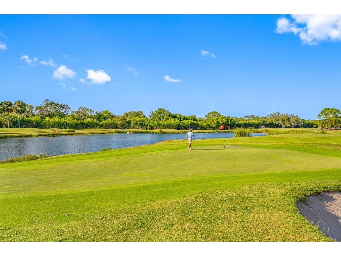 7371 Sawgrass Point Pinellas Park FL 33782 TB8447103 image47