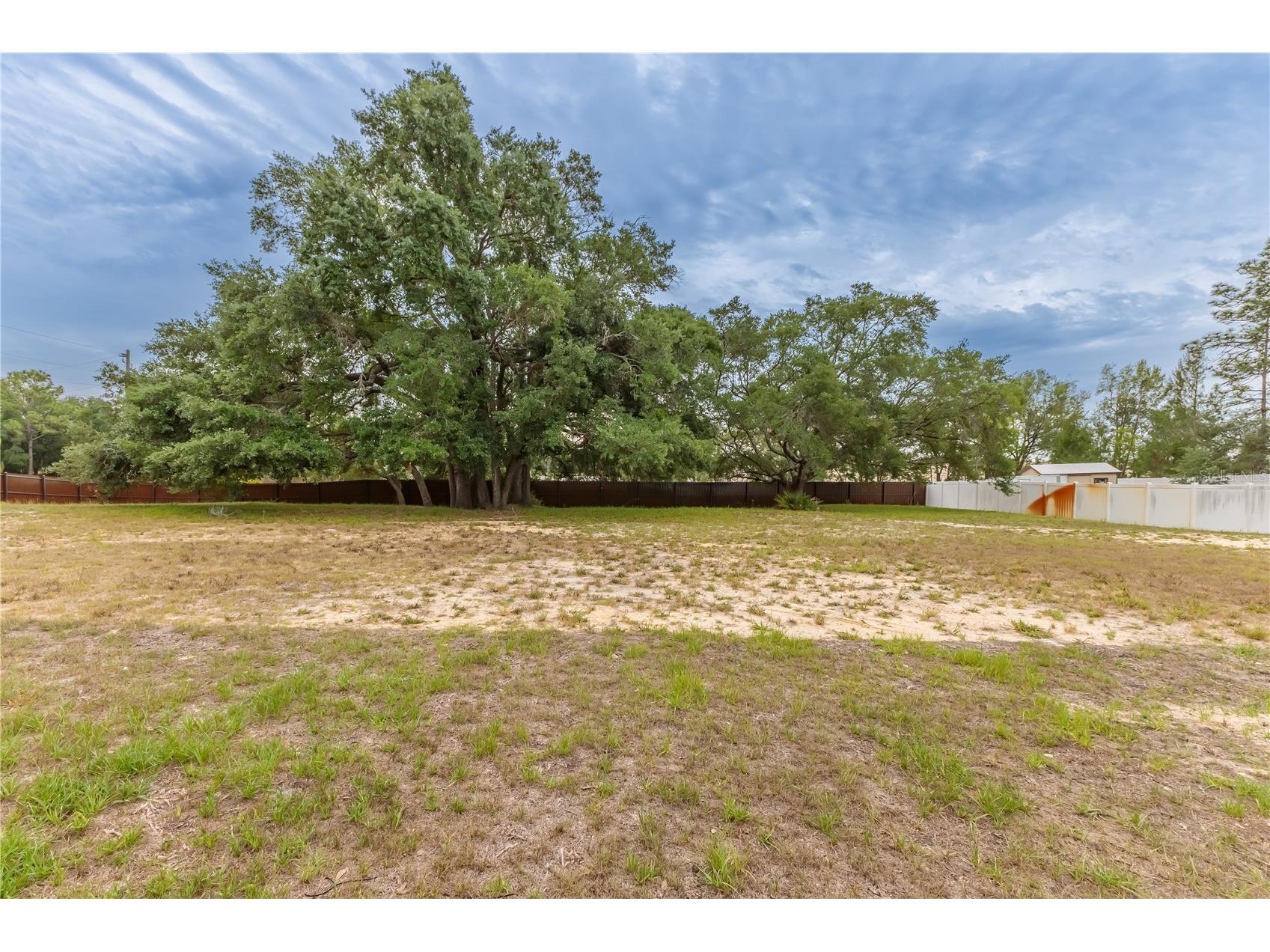 7372 Madrid Road Weeki Wachee FL 34613 W7885698 image54