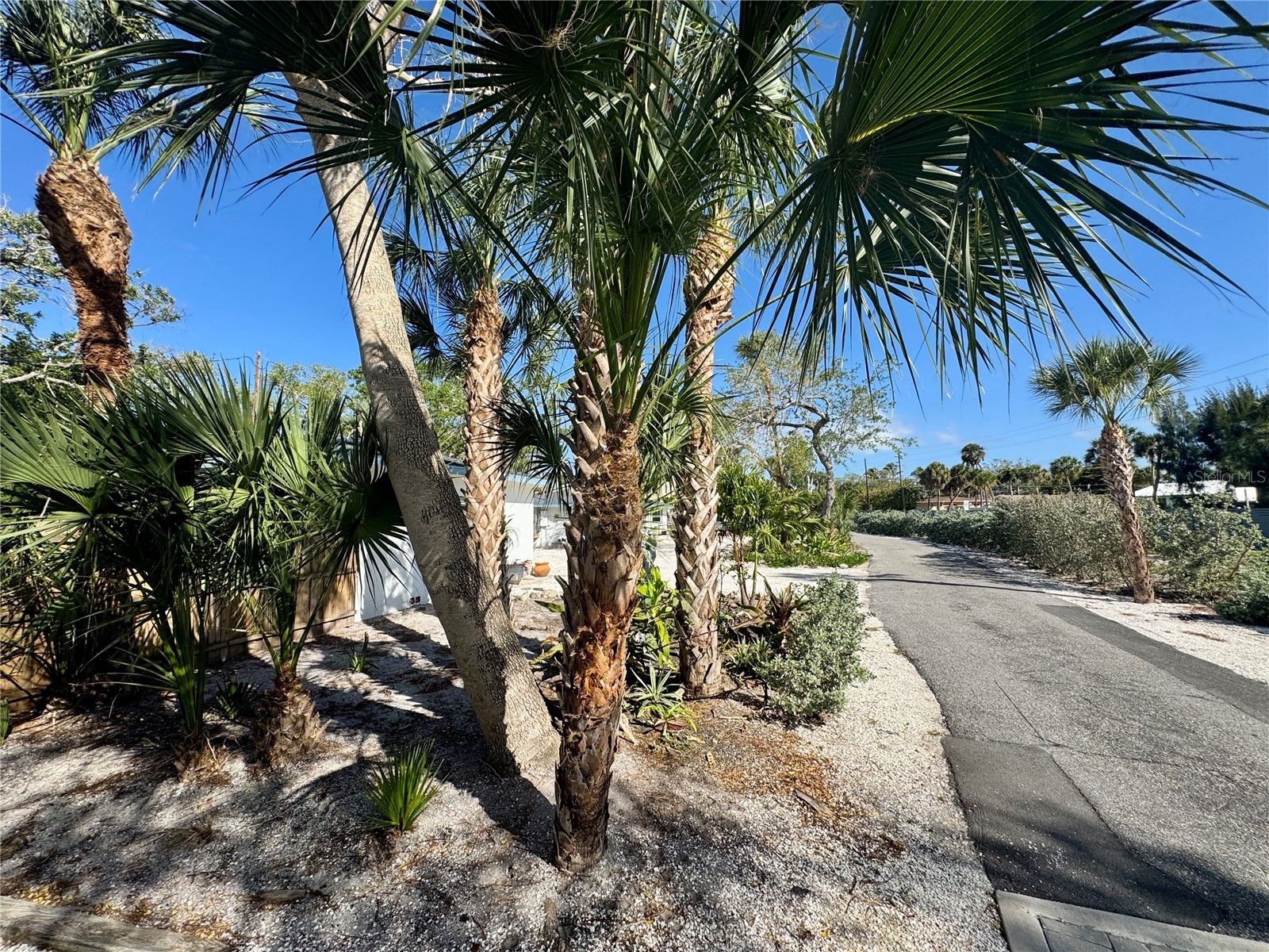 7372 Melaleuca Way Sarasota FL 34242 A4690292 image34