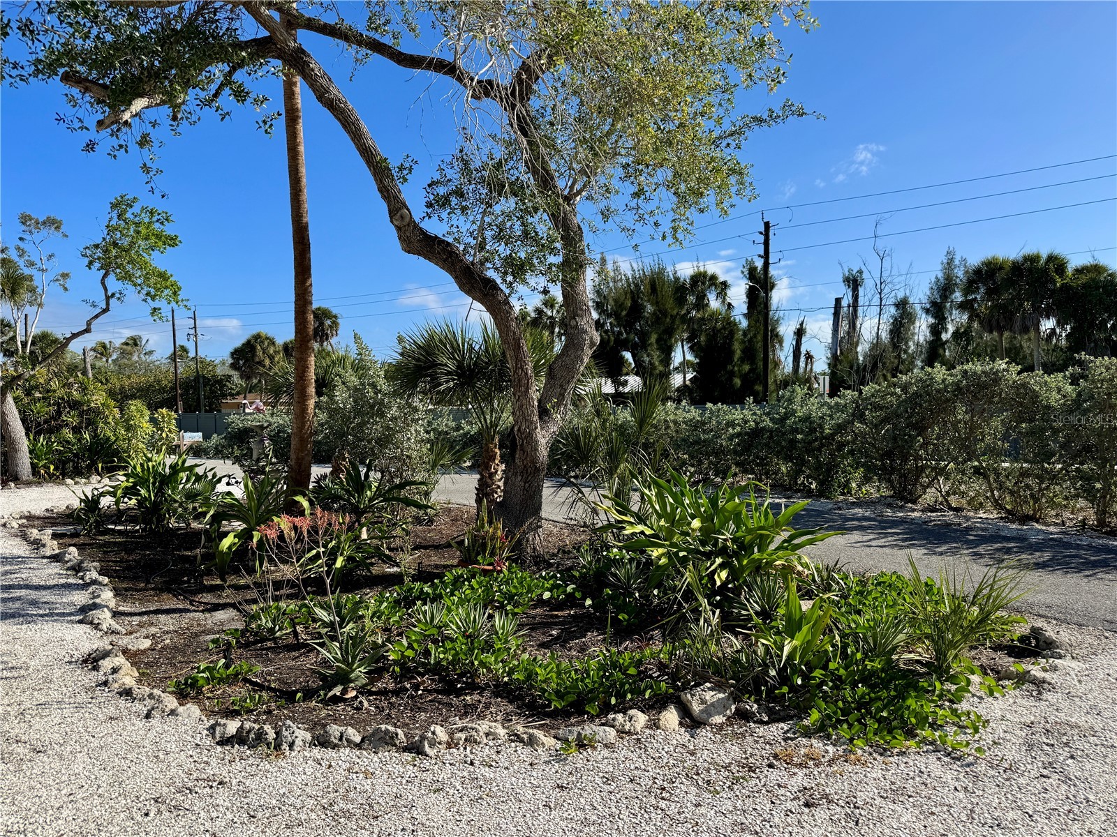 7372 Melaleuca Way Sarasota FL 34242 A4690292 image37
