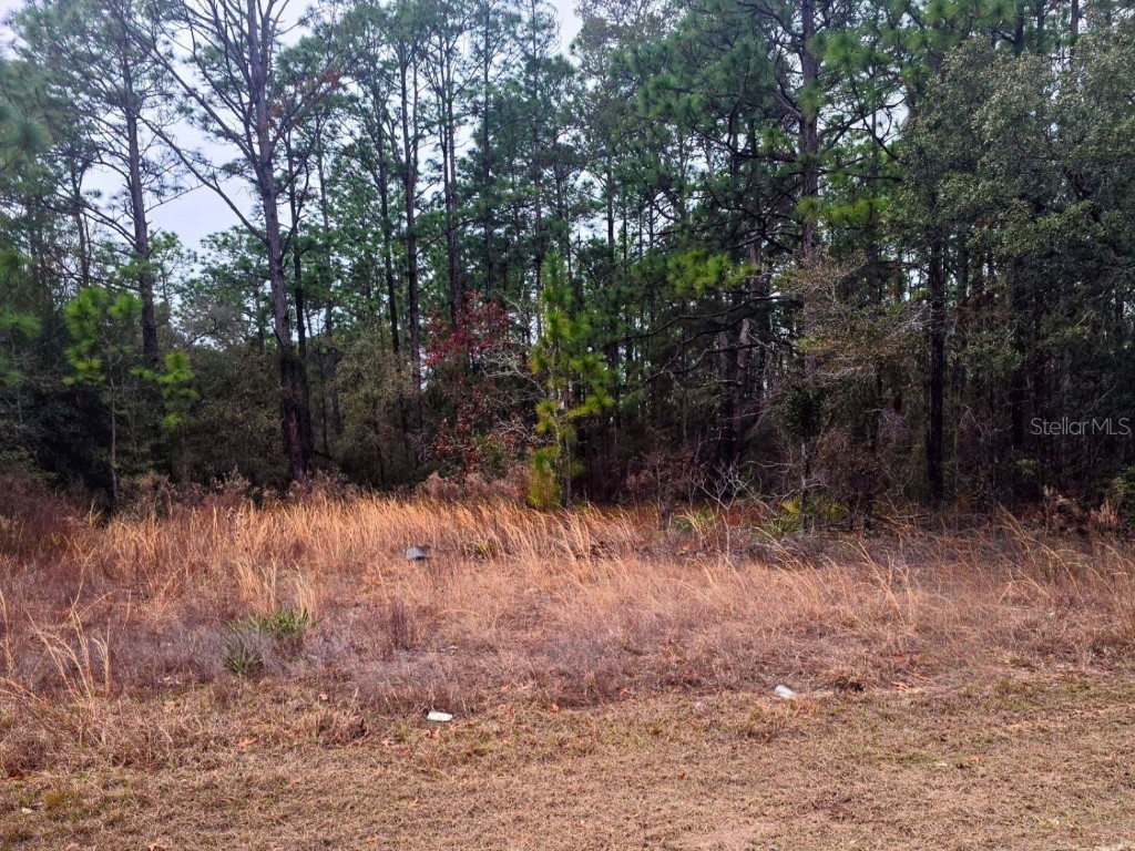 7372 N Maltese Drive Citrus Springs FL 34433 GC527691 image1