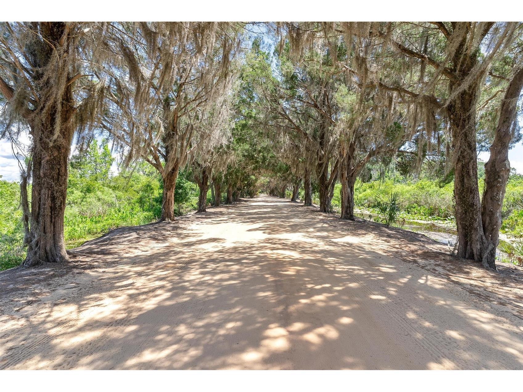 7373 Circle Drive Lady Lake FL 32159 G5111442 image5