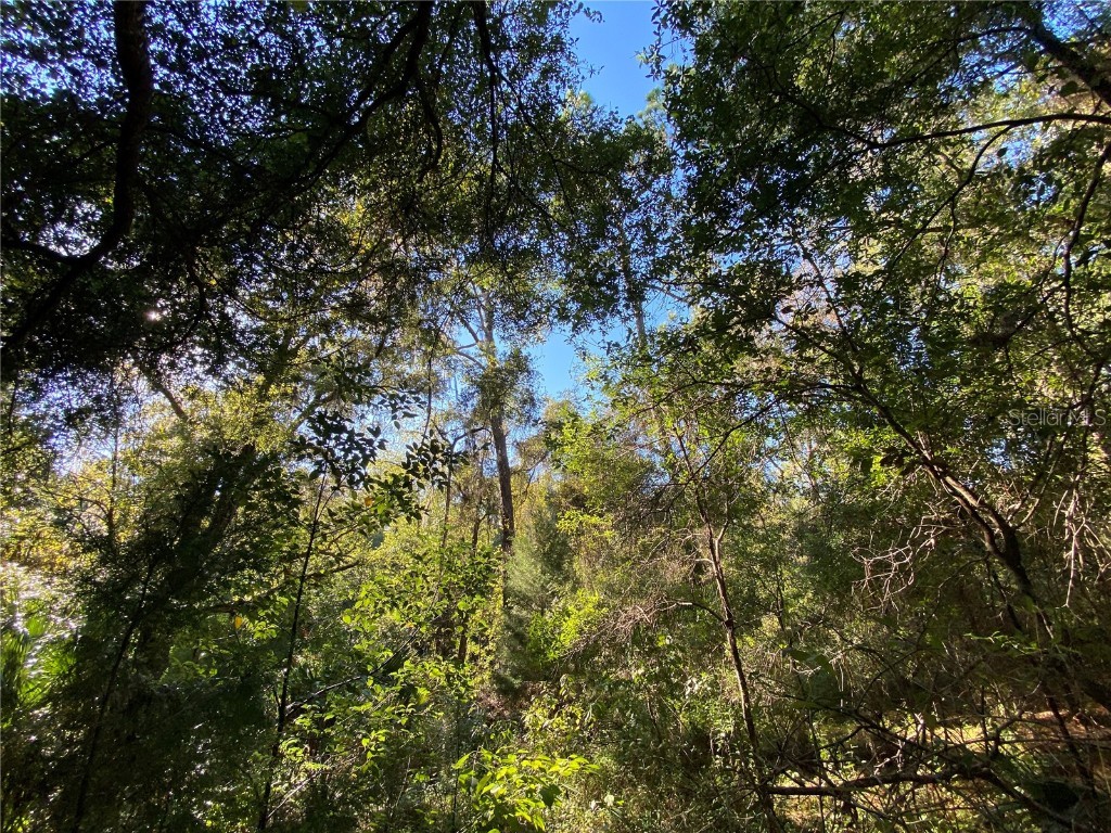 7373 E Savannah Court Floral City FL 34436 TB8373233 image10