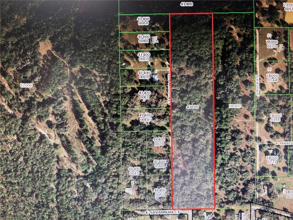 7373 E Savannah Court Floral City FL 34436 TB8373233 image11