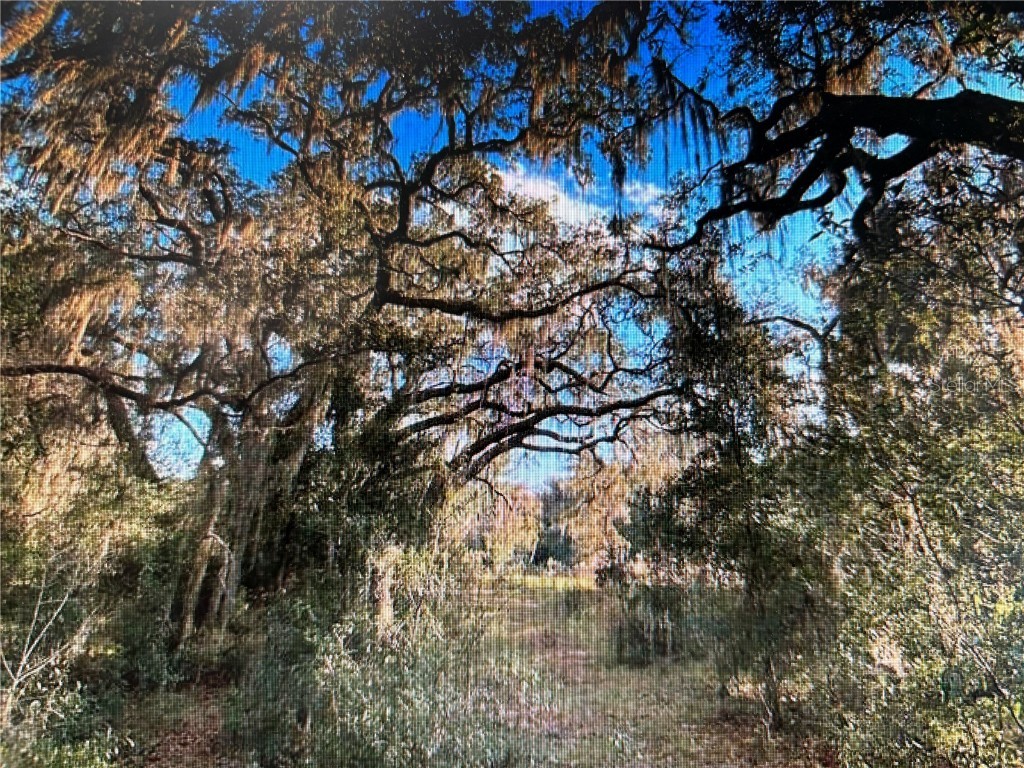 7373 E Savannah Court Floral City FL 34436 TB8373233 image12