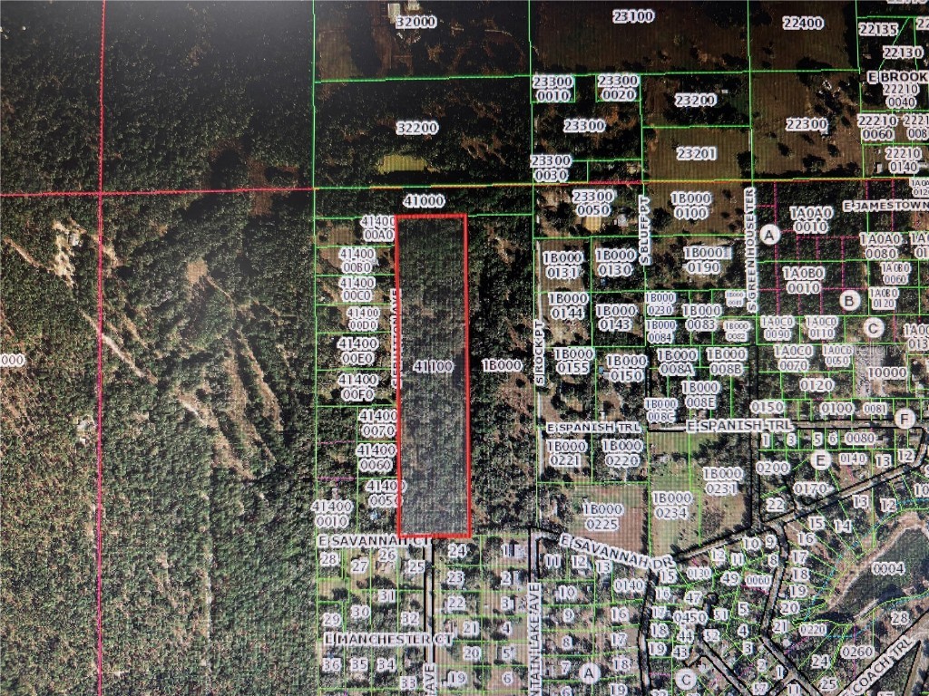 7373 E Savannah Court Floral City FL 34436 TB8373233 image13