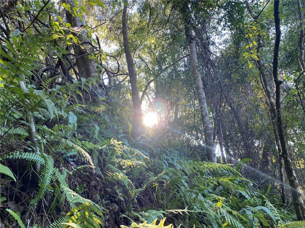 7373 E Savannah Court Floral City FL 34436 TB8373233 image18