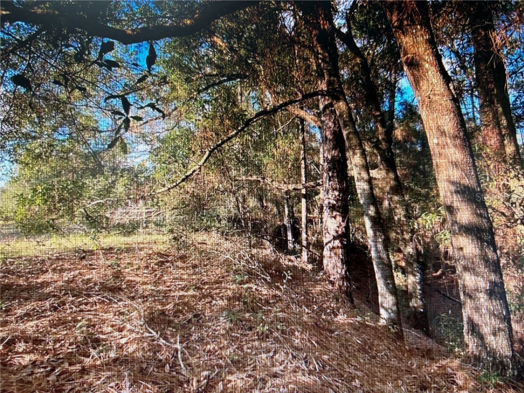 7373 E Savannah Court Floral City FL 34436 TB8373233 image2