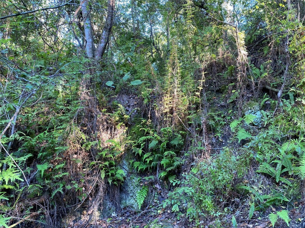 7373 E Savannah Court Floral City FL 34436 TB8373233 image22