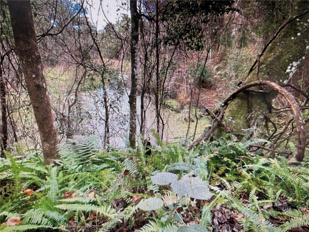 7373 E Savannah Court Floral City FL 34436 TB8373233 image24