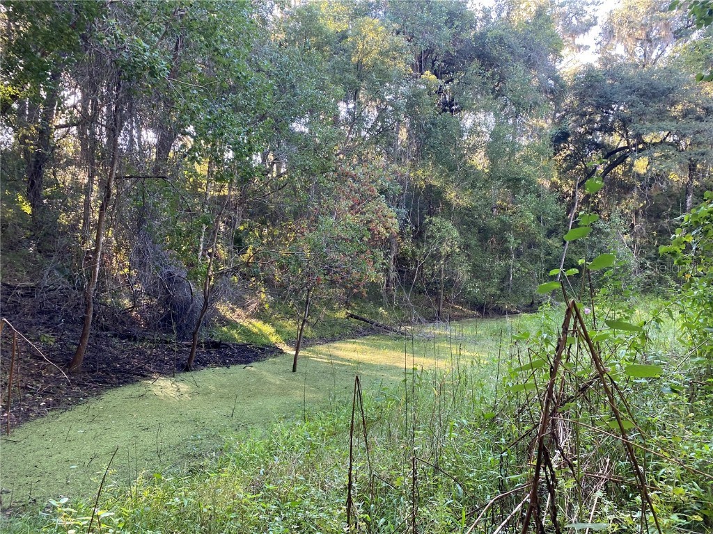 7373 E Savannah Court Floral City FL 34436 TB8373233 image27