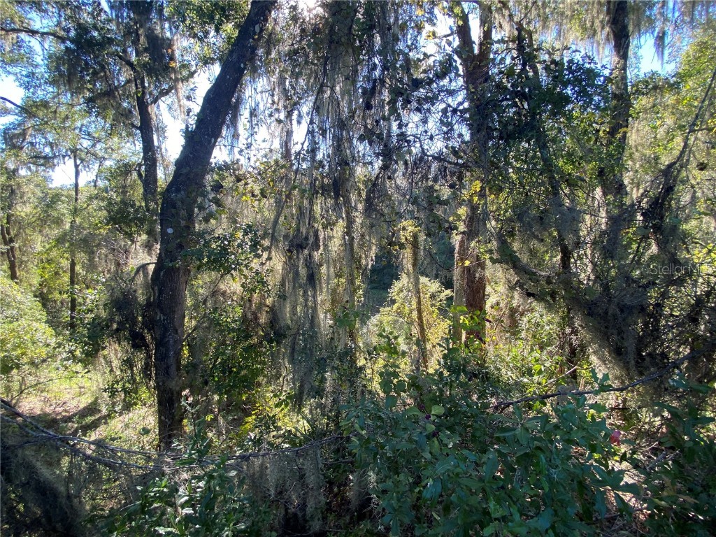 7373 E Savannah Court Floral City FL 34436 TB8373233 image31