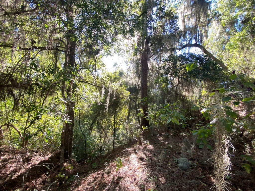 7373 E Savannah Court Floral City FL 34436 TB8373233 image32