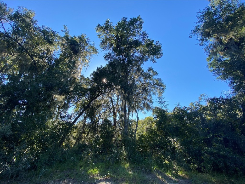 7373 E Savannah Court Floral City FL 34436 TB8373233 image33