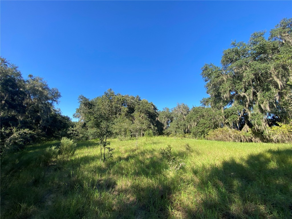 7373 E Savannah Court Floral City FL 34436 TB8373233 image35