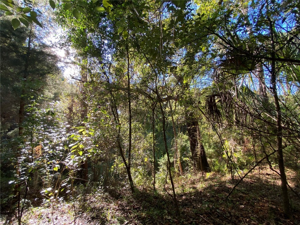 7373 E Savannah Court Floral City FL 34436 TB8373233 image4