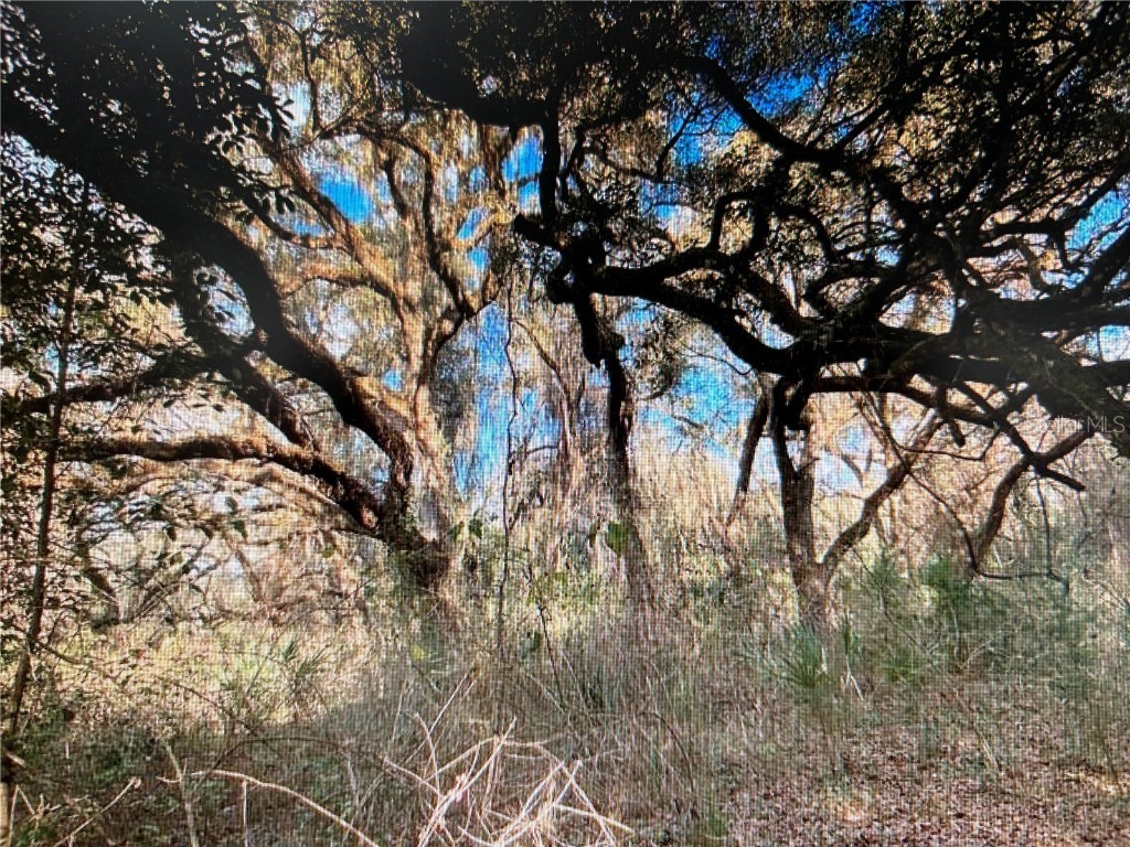 7373 E Savannah Court Floral City FL 34436 TB8373233 image8