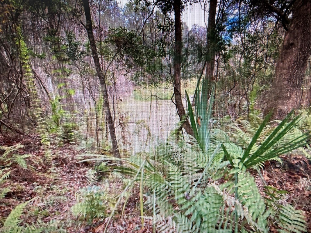 7373 E Savannah Court Floral City FL 34436 TB8373233 image9