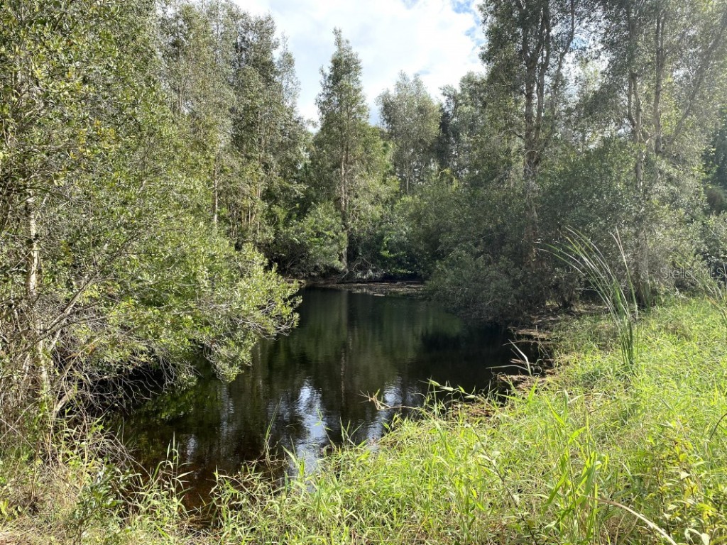 7374 Acorn Boulevard Punta Gorda FL 33982 A4579321 image1