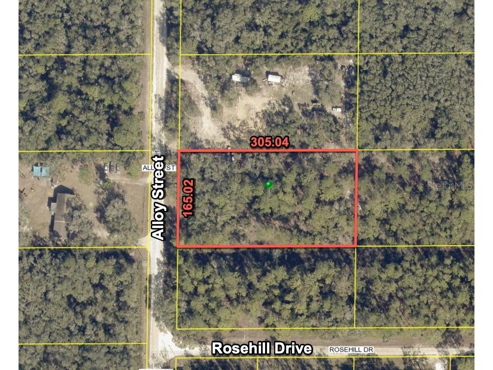 7374 Alloy Street Webster FL 33597 O6315068 image1