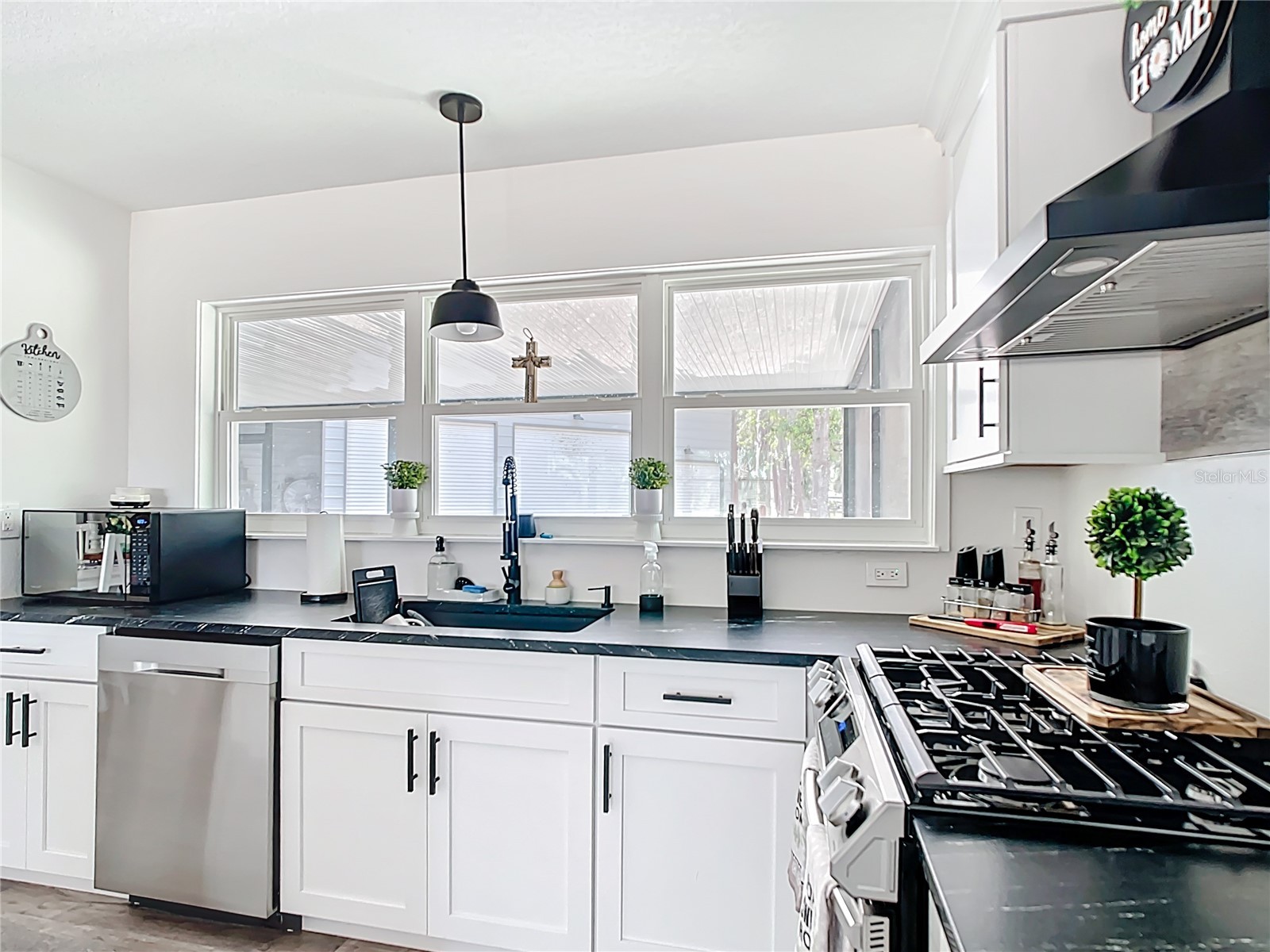 7374 Circle Drive Lady Lake FL 32159 - LAKE GRIFFIN OCKLAWAHA RIVER O6399049 image13