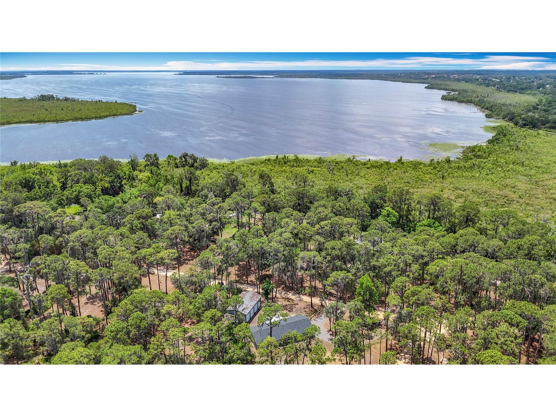 7374 Circle Drive Lady Lake FL 32159 - LAKE GRIFFIN OCKLAWAHA RIVER O6399049 image3