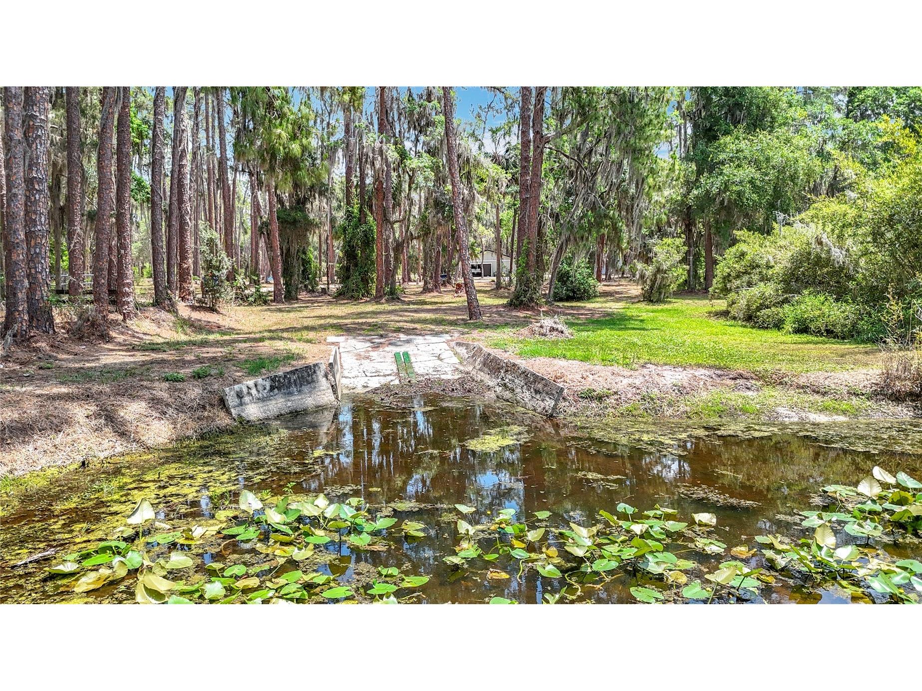 7374 Circle Drive Lady Lake FL 32159 - LAKE GRIFFIN OCKLAWAHA RIVER O6399049 image50