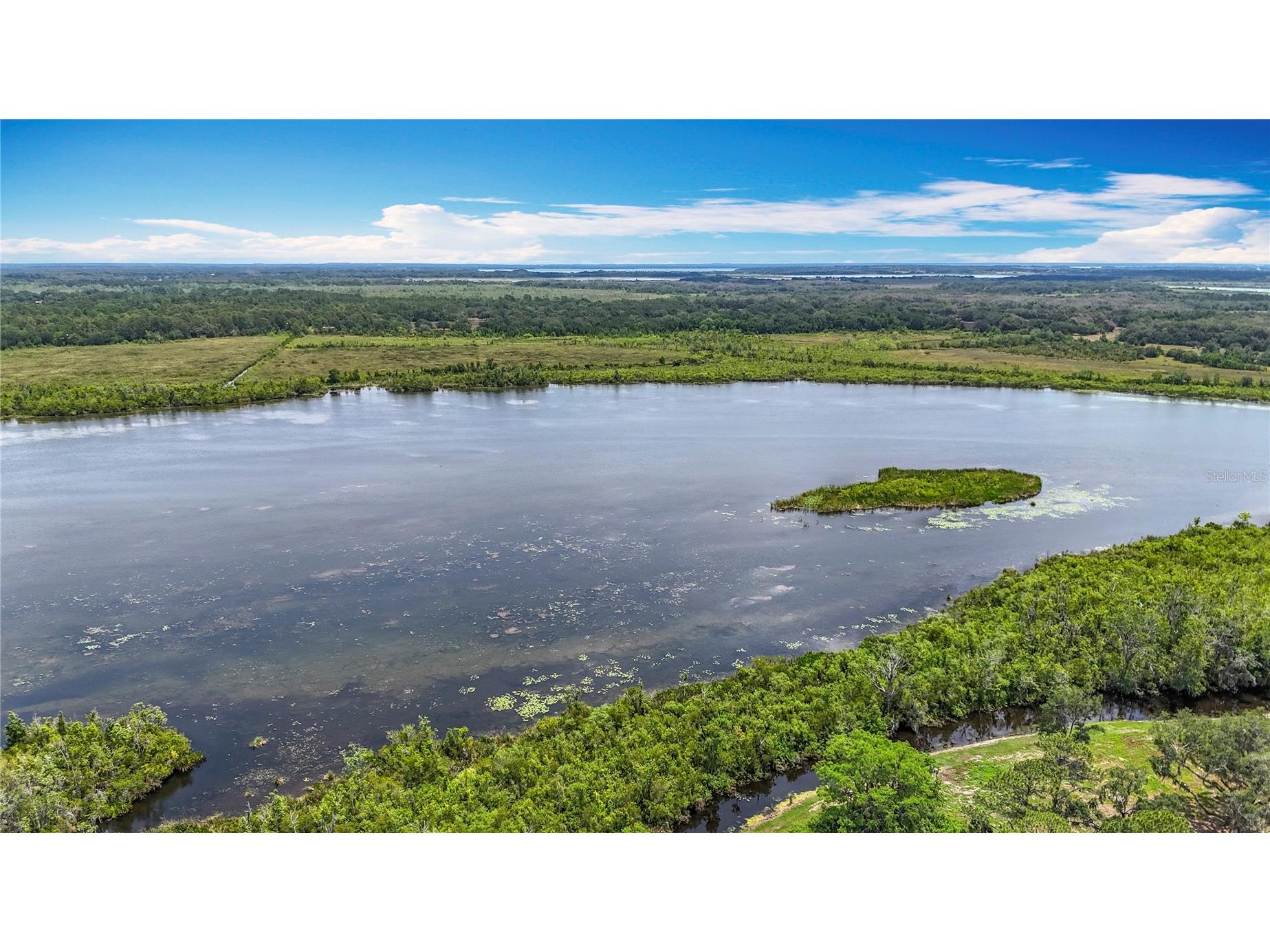 7374 Circle Drive Lady Lake FL 32159 - LAKE GRIFFIN OCKLAWAHA RIVER O6399049 image51