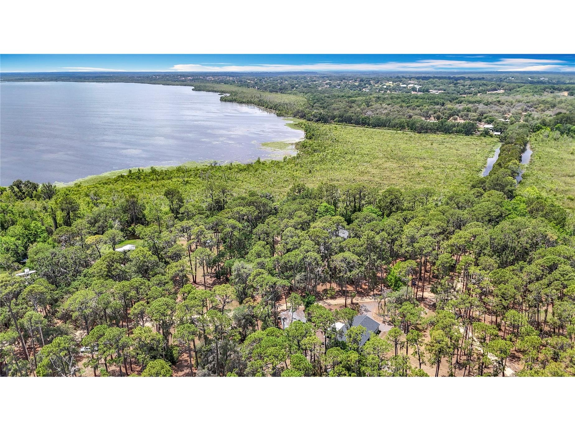 7374 Circle Drive Lady Lake FL 32159 - LAKE GRIFFIN OCKLAWAHA RIVER O6399049 image52