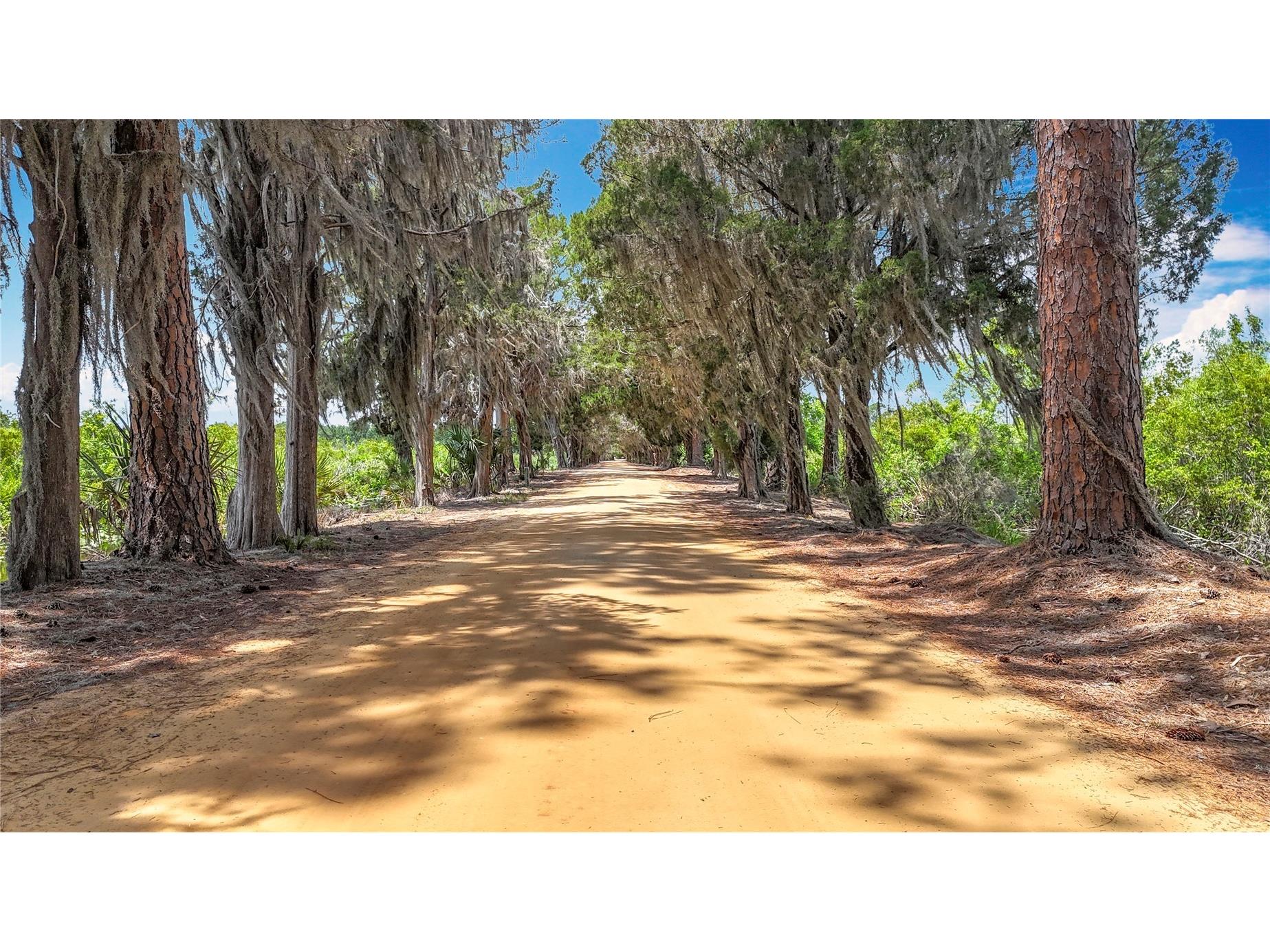 7374 Circle Drive Lady Lake FL 32159 - LAKE GRIFFIN OCKLAWAHA RIVER O6399049 image53