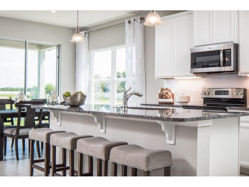7374 SW 107th Lane Ocala FL 34476 W7886231 image4