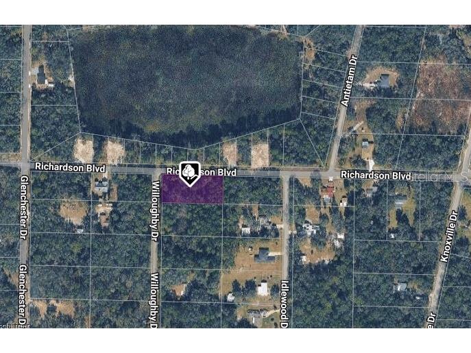 7374 Willoughby Drive Webster FL 33597 TB8465675 image1