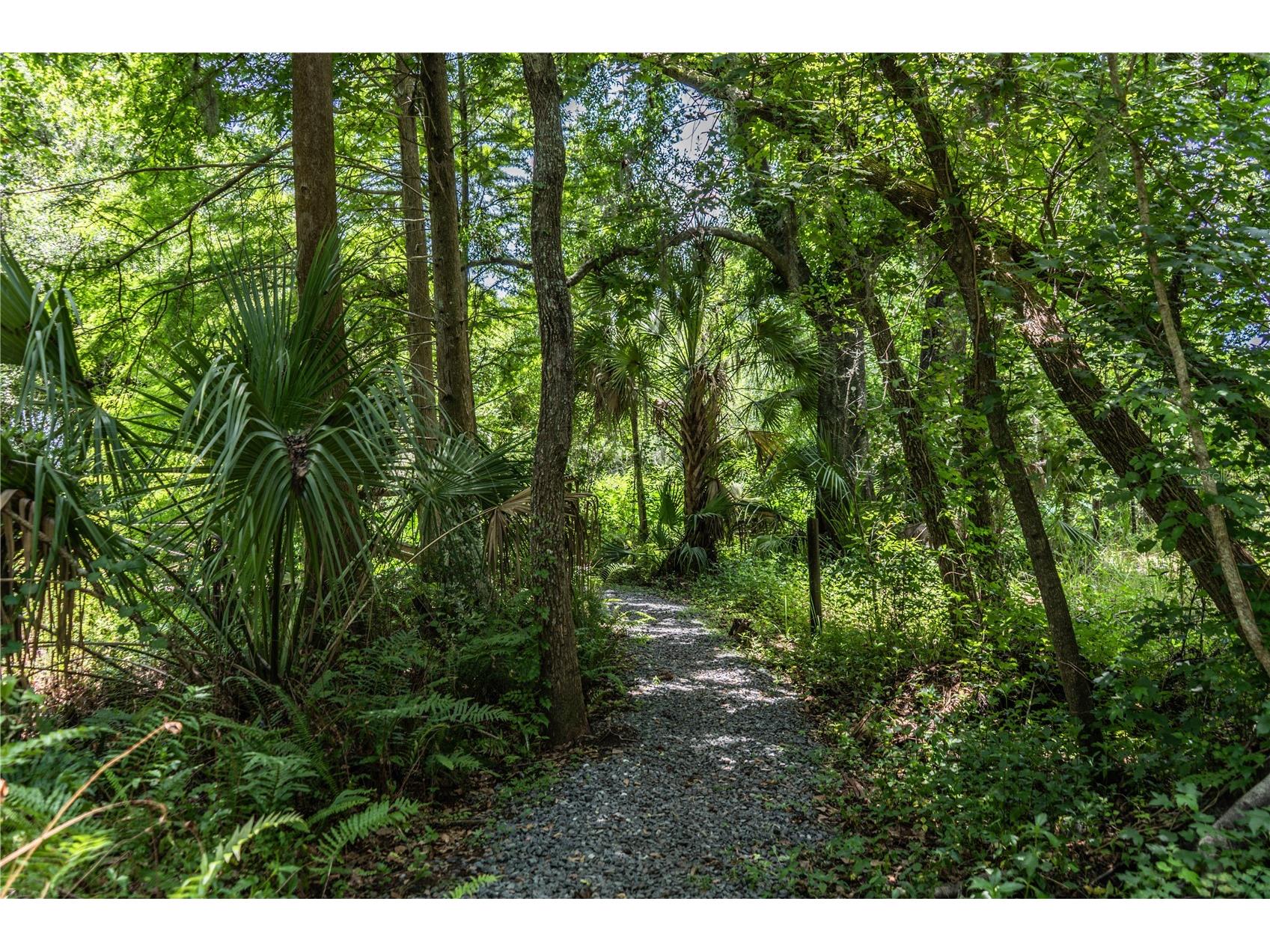 7375 Millbrook Oaks Dr Lakeland FL 33813 L4962693 image17