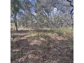 7377 Knoxville Drive Webster FL 33597 O6356387 image1