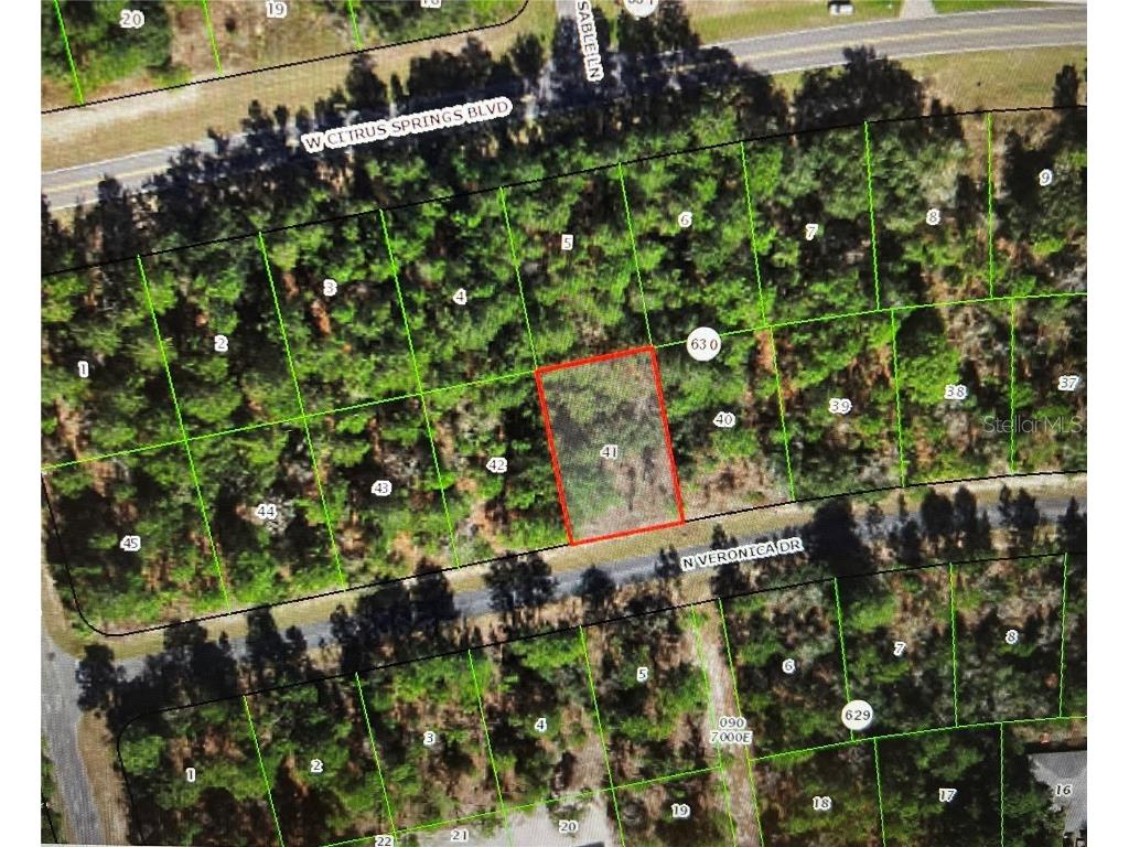 7377 N Veronica Drive Citrus Springs FL 34433 O6084950 image1